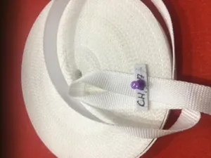 Chinga image