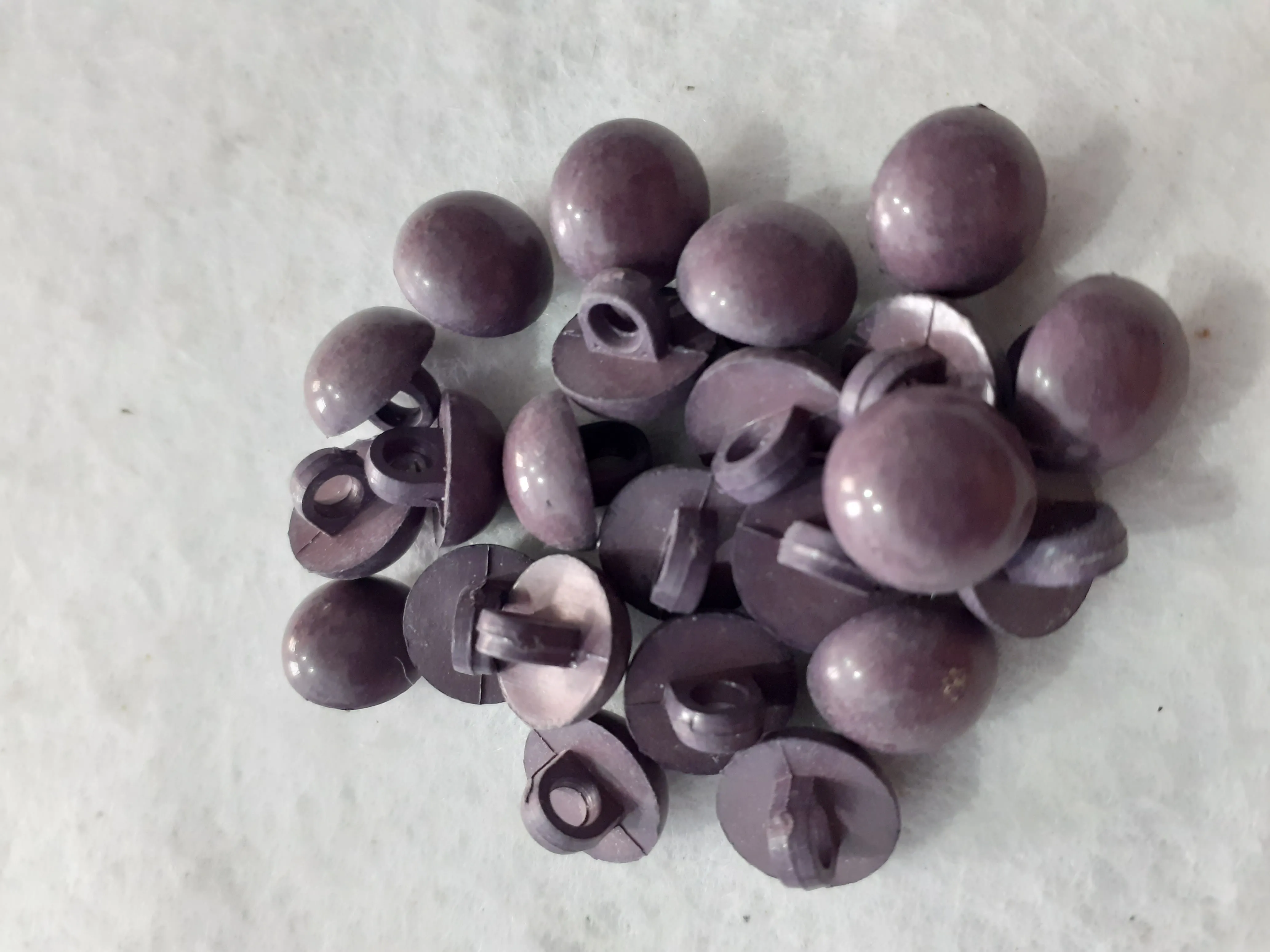 Nasturi plastic image