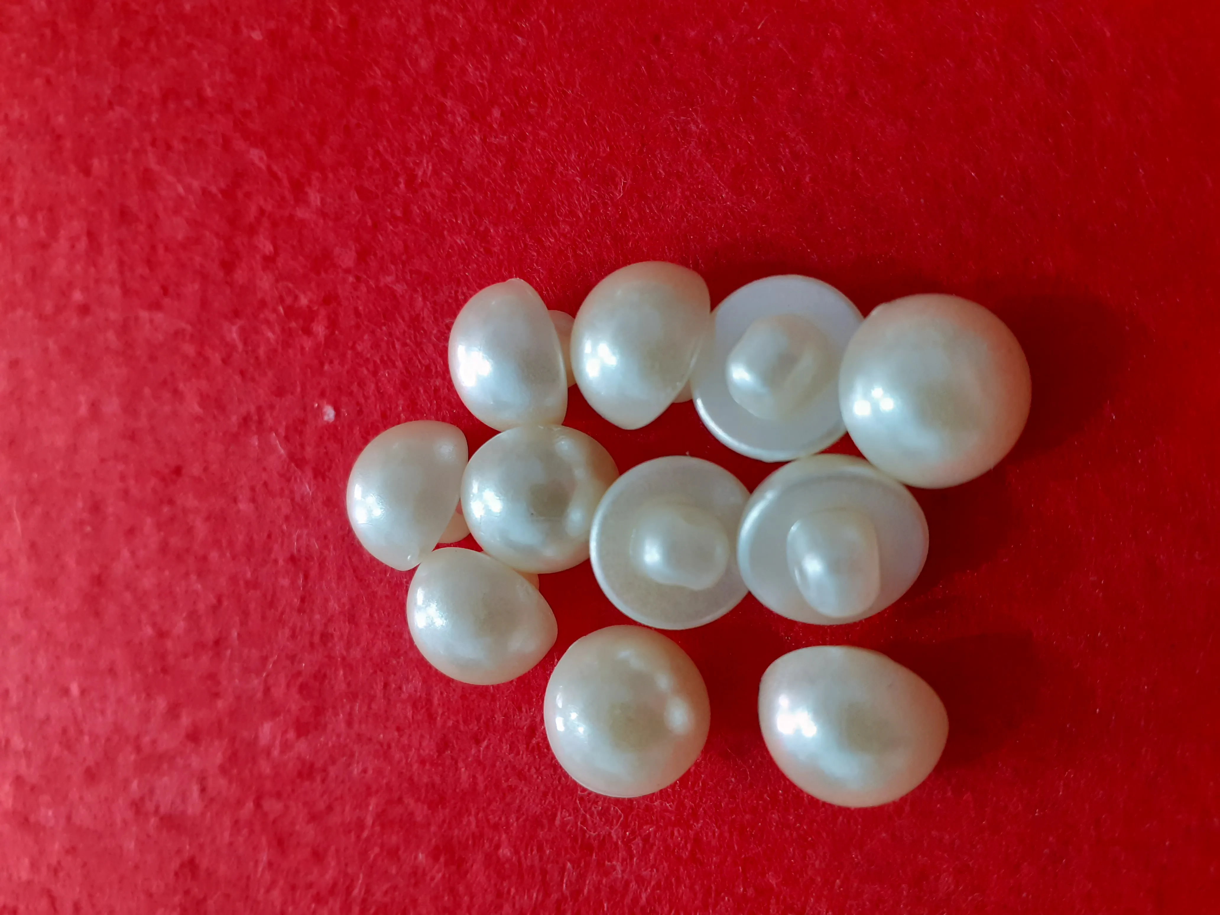 Nasturi plastic image