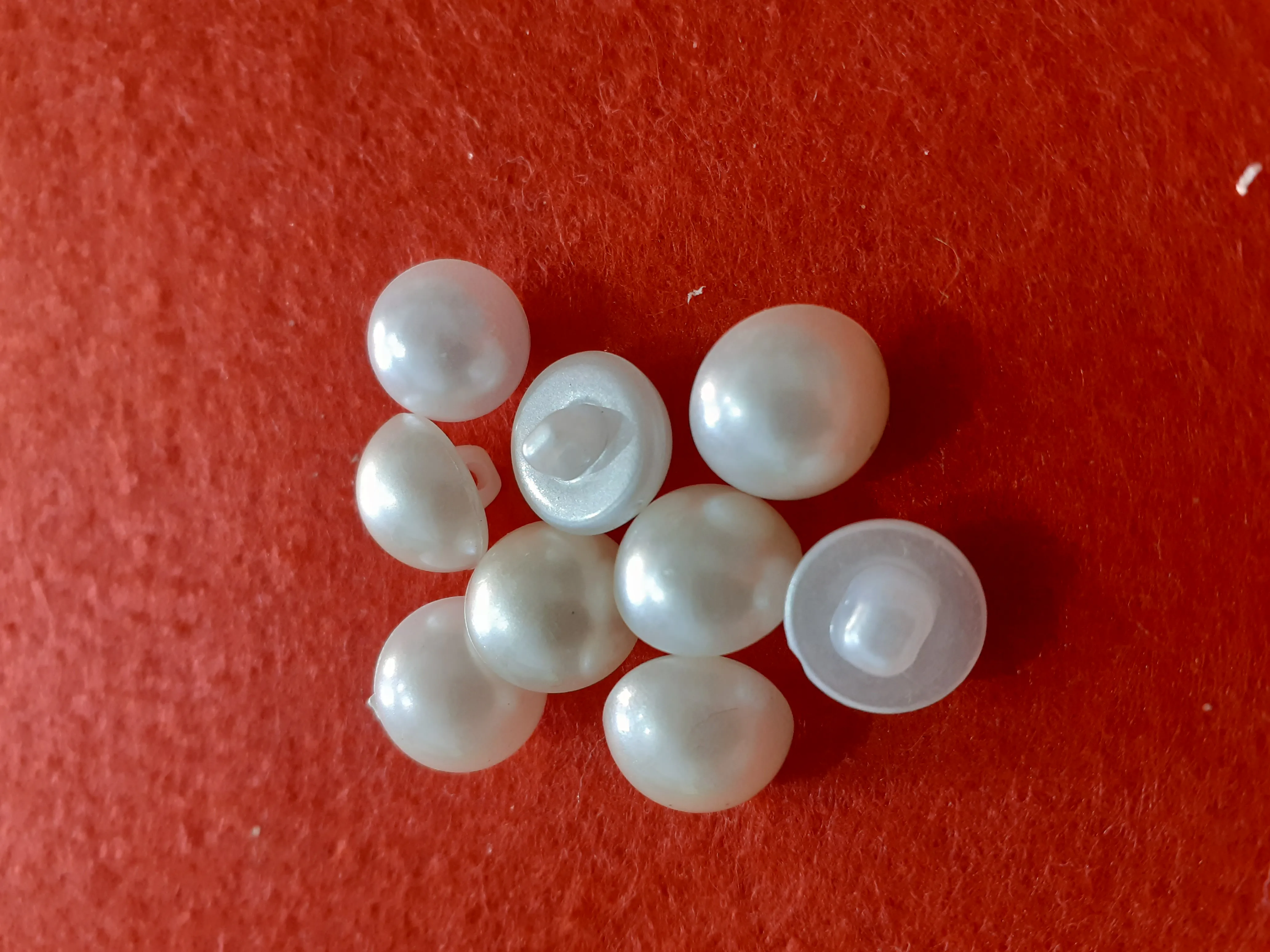 Nasturi plastic image