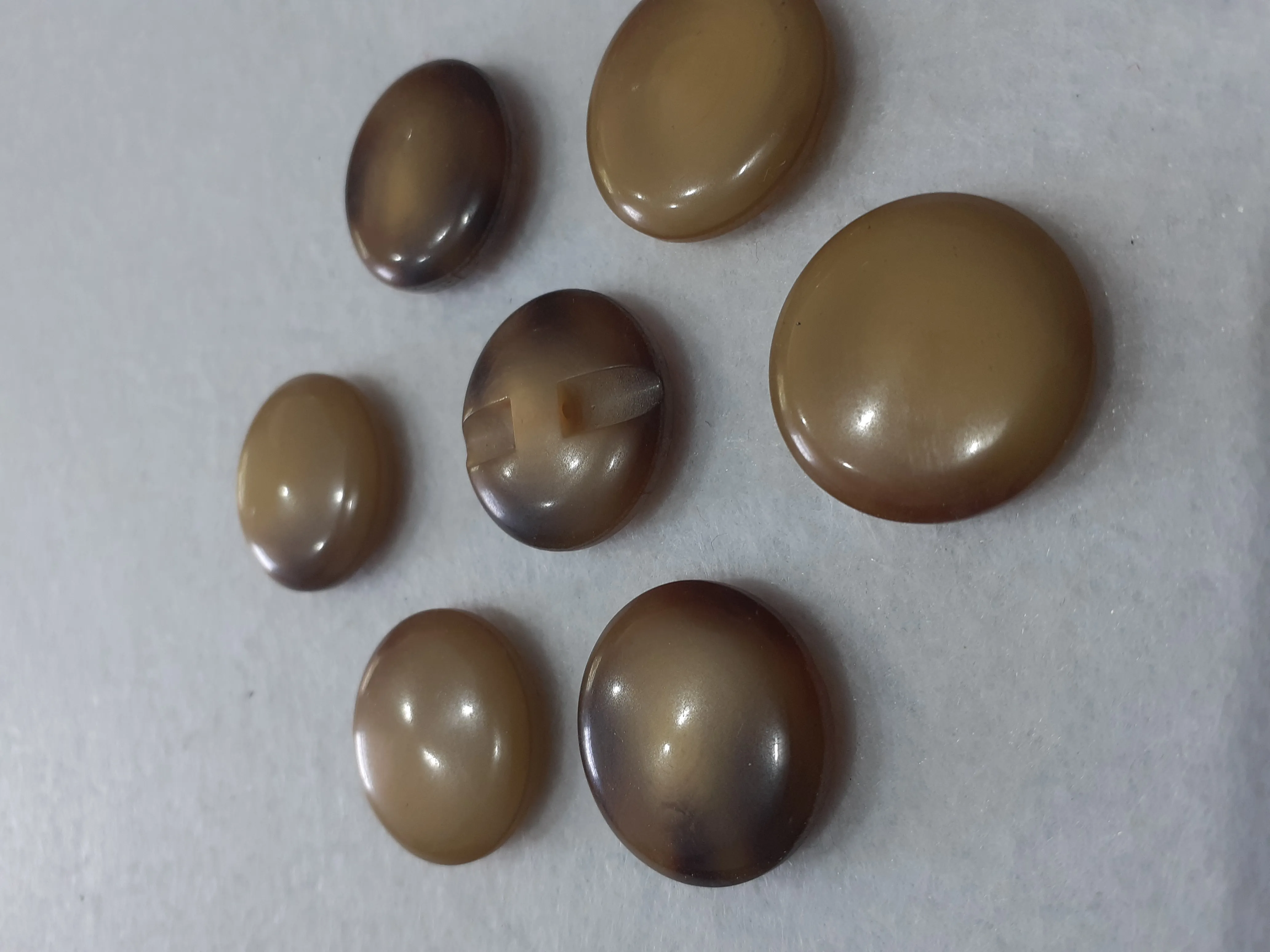 Nasturi plastic image