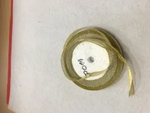 Panglica aurie image